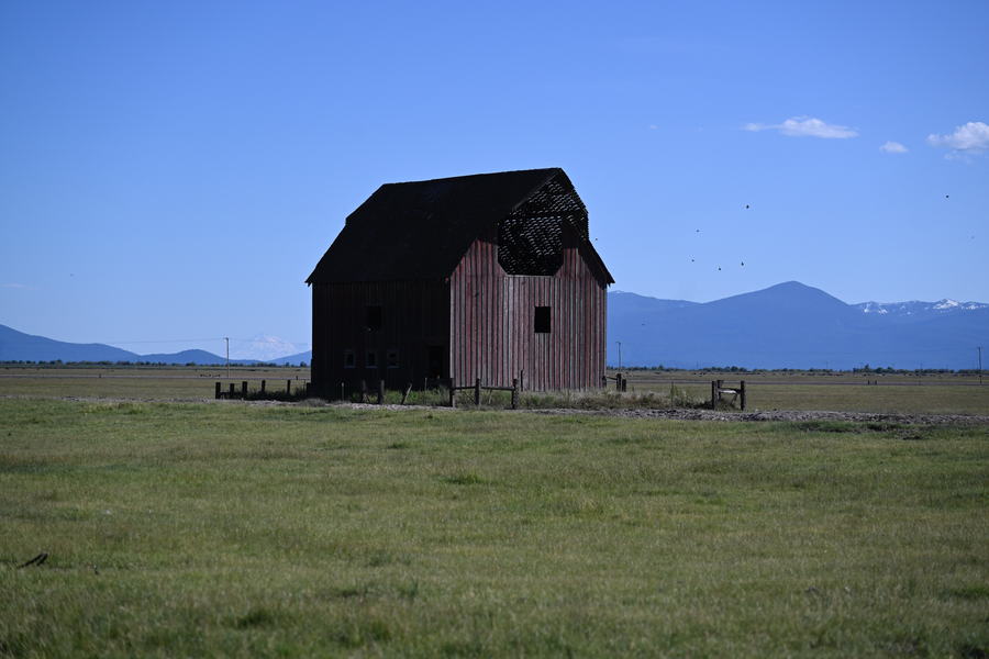 Days Gone By
