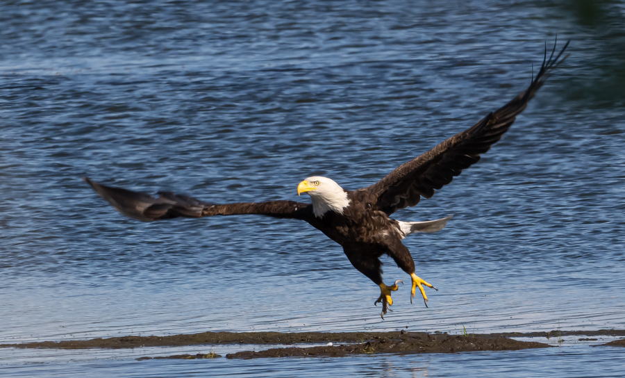 In Flight