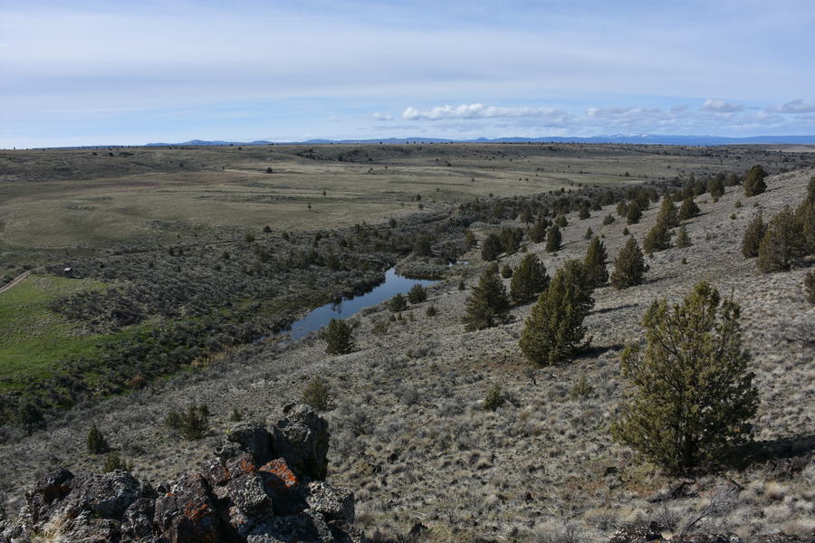 The Long View