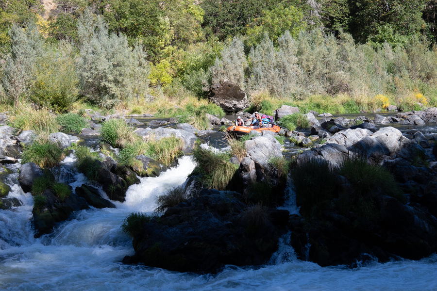 The Raft
